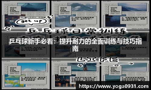 Bibo必博