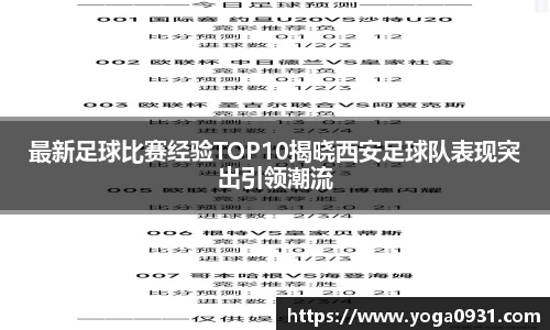 必博Bibo