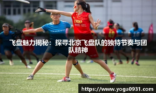 必博Bibo