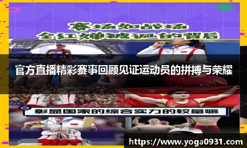 Bibo必博