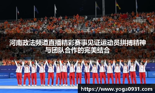 河南政法频道直播精彩赛事见证运动员拼搏精神与团队合作的完美结合