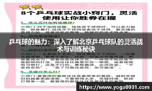 乒乓球的魅力：深入了解北京乒乓球队的灵活战术与训练秘诀