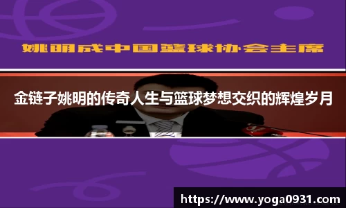 必博Bibo