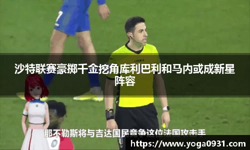 Bibo必博