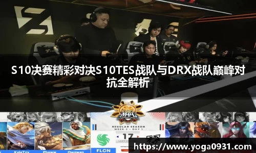 必博Bibo