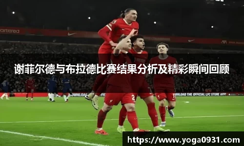 必博Bibo