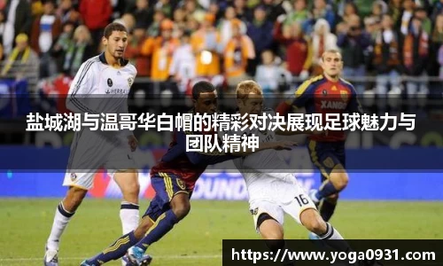 必博Bibo