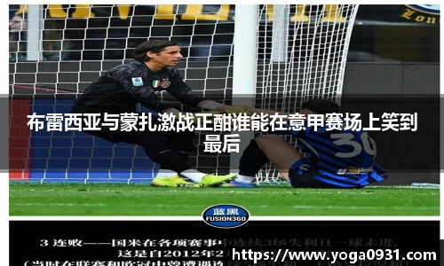 必博Bibo