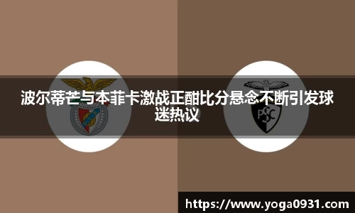 Bibo必博