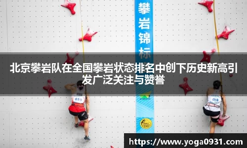 Bibo必博