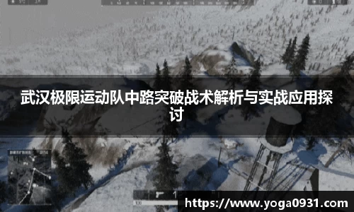 Bibo必博