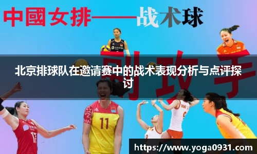 Bibo必博